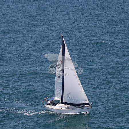 422.FL8313SN..SPIRIT OF THE WIND.34