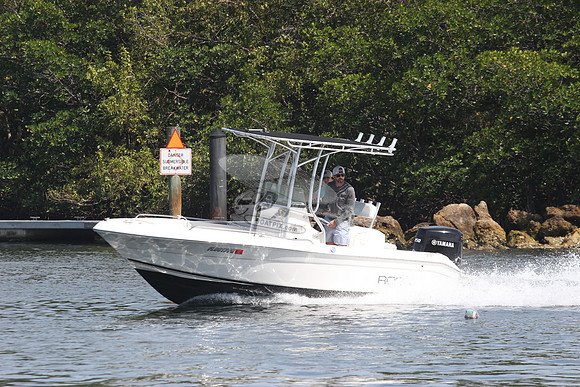 FL8017PR.1