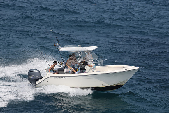 COBIA.WHITE.12