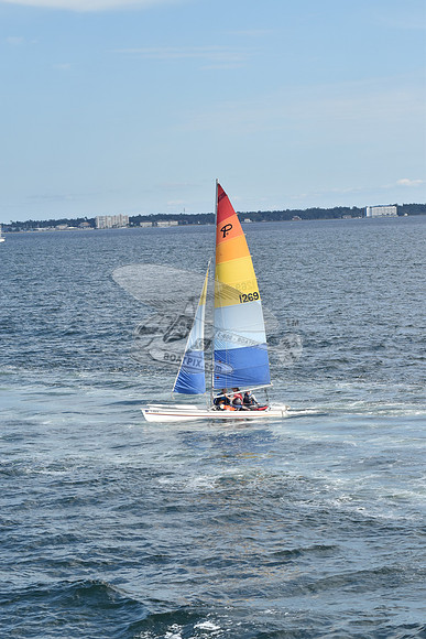 1269.FL6556TR.1