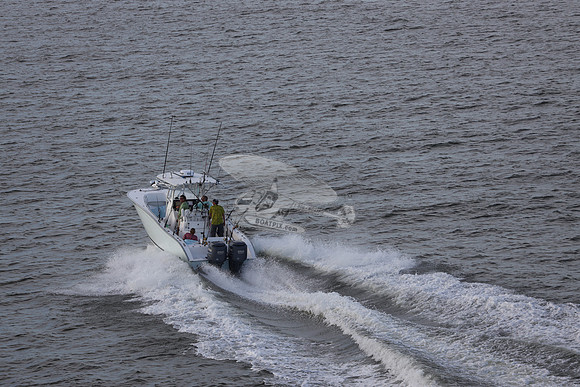 al0158rm.21