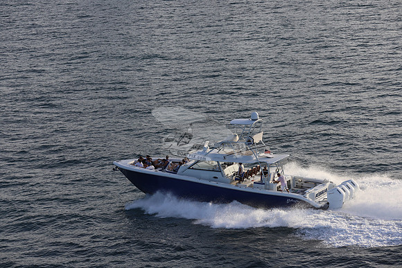 alegrias.bay harb.yellowfin.05