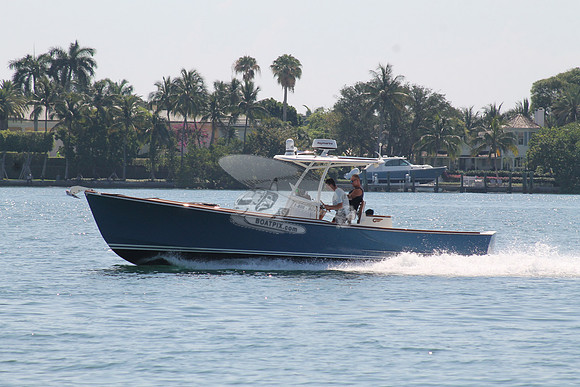 BEAVY.PALM BEACH FL.08