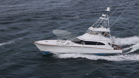 DE BAIT ABLE.DELRAY BEACH FL.2649