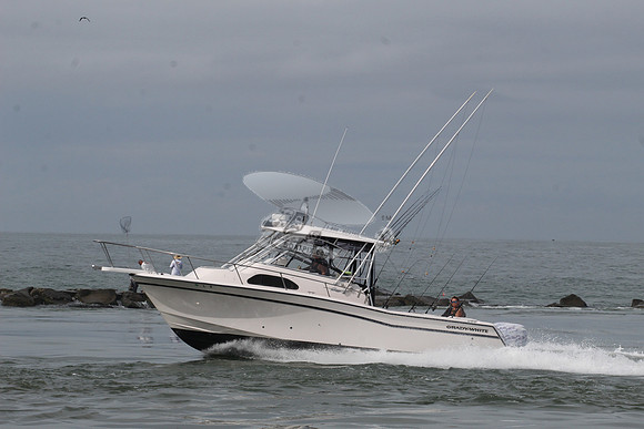 dl8.grady white.4497