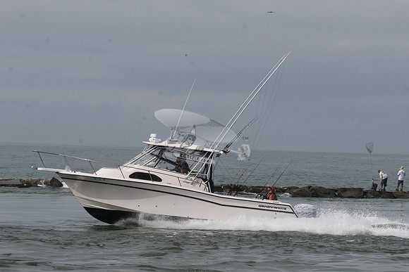 dl8.grady white.4498