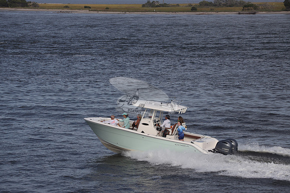COBIA.LT BLUE.30102