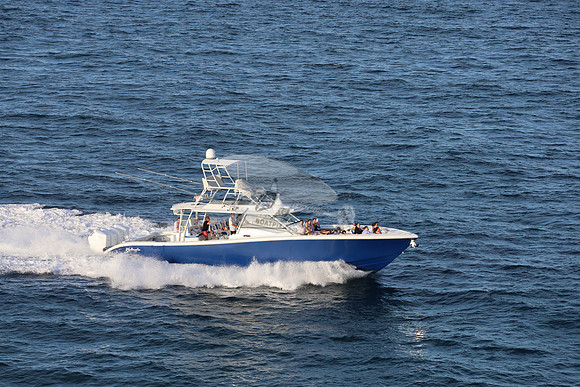 alegrias.bay harb.yellowfin.19