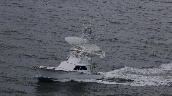 ballie who iii.islamorada fl.9502