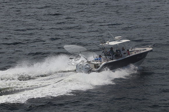 fl1751sn.05