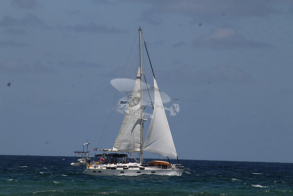 ANCHOR MANAGEMENT.14