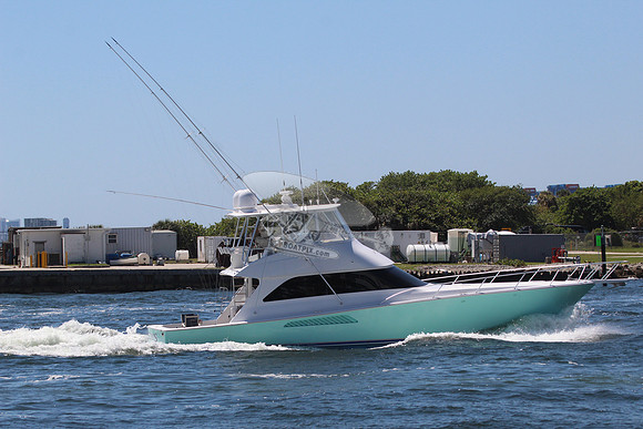 ARTEMIS.233