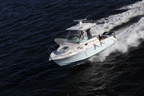 ACCI-DENTAL.JAX FL.ROBALO.16