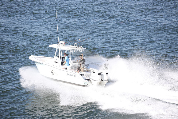 NJ1604HN.5608