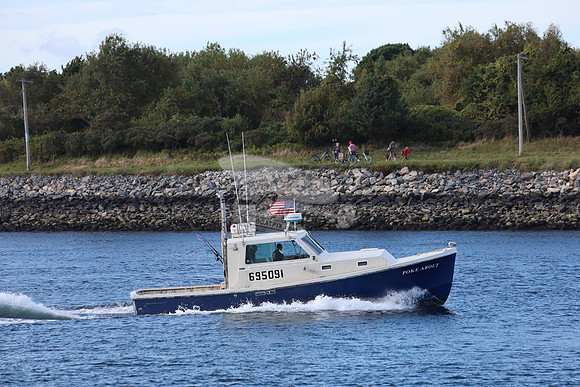 695091.poke about.sandwich ma.5344