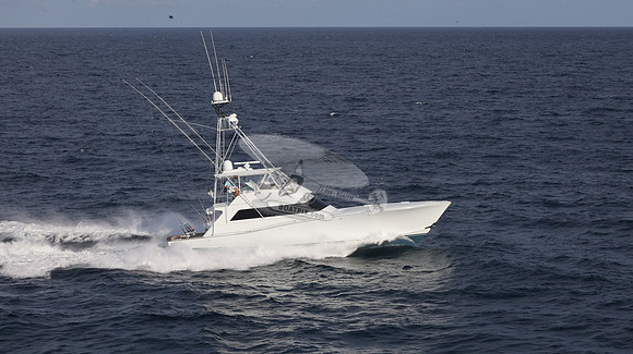 CHASIN TAIL.SINGER ISLAND.2953