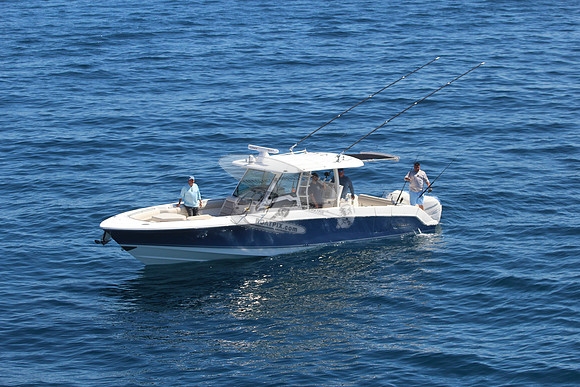 boston whaler.blue hull.3 merc 400.6216