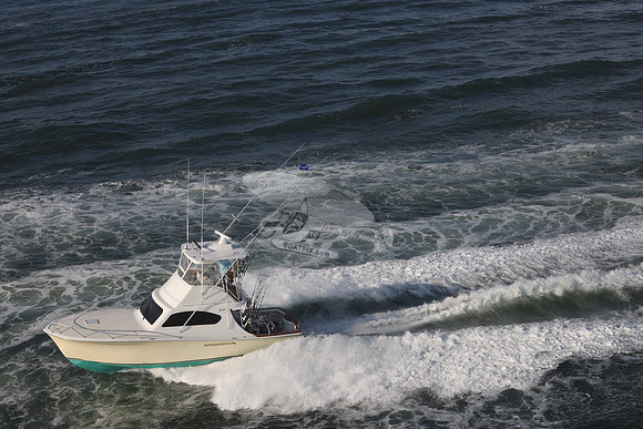 A SALT WEAPON 3.OCEAN CITY MD.21