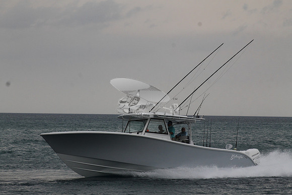 CRY..YELLOWFIN.04