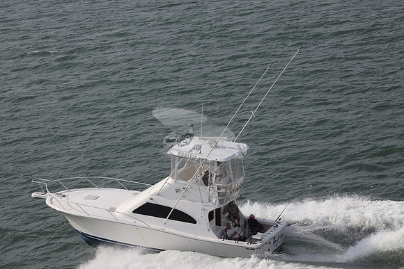 BARE OL CUDA.INDIAN RIVER DE.LUHRS.06