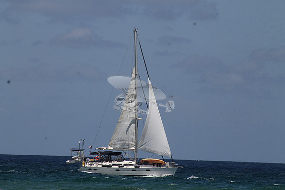 ANCHOR MANAGEMENT.17
