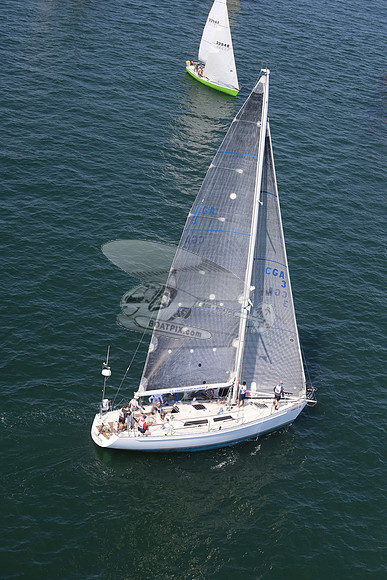 3.stormy petrel.2