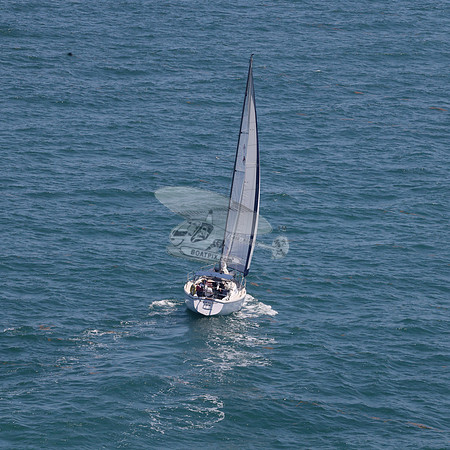 422.FL8313SN..SPIRIT OF THE WIND.04