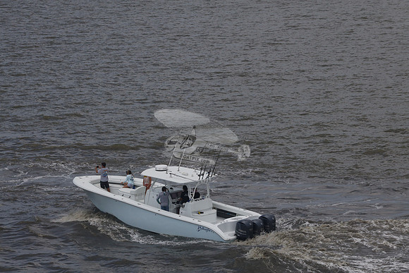 al.yellowfin.06