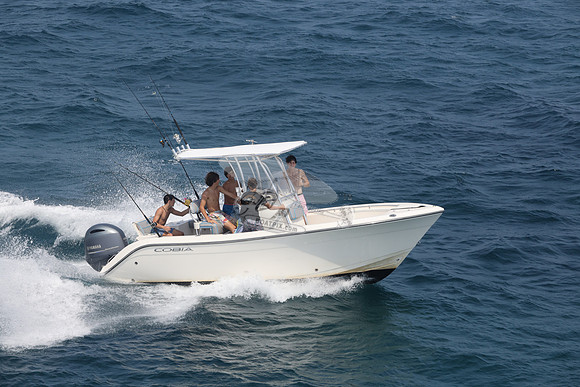 COBIA.WHITE.15