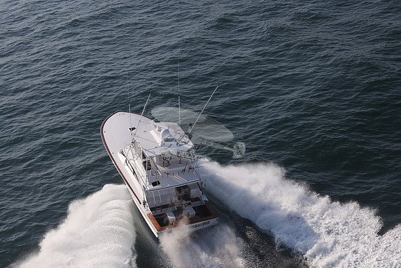 ABSOLUT PLEASURE.OCEAN CITY MD.39