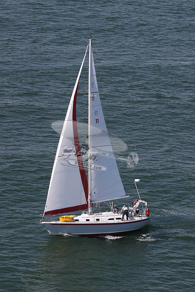 11.skalawag.4971