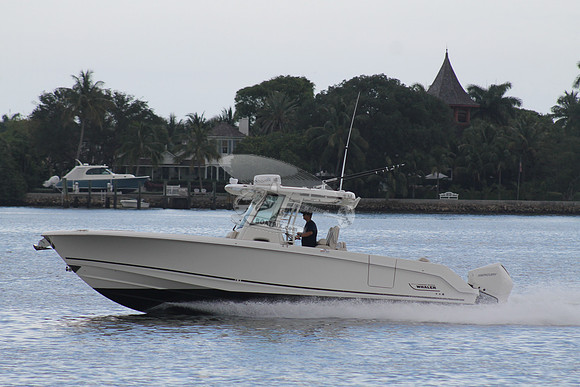 BOSTON WHALER.06