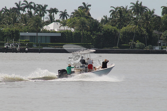 fl0858pb.17
