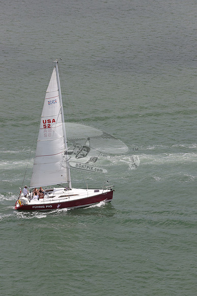 52.FLYING PIG.FL4122MM. 04