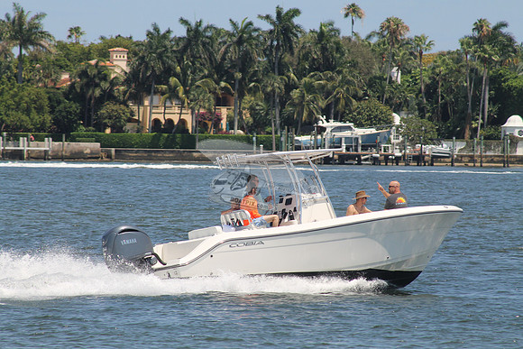 COBIA.11