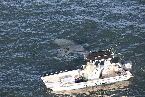 dl7383am.sea'n double.9319