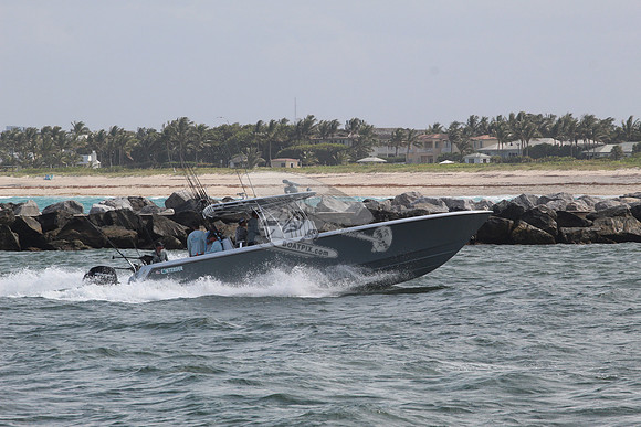 contender.3 merc.brown hull.1399