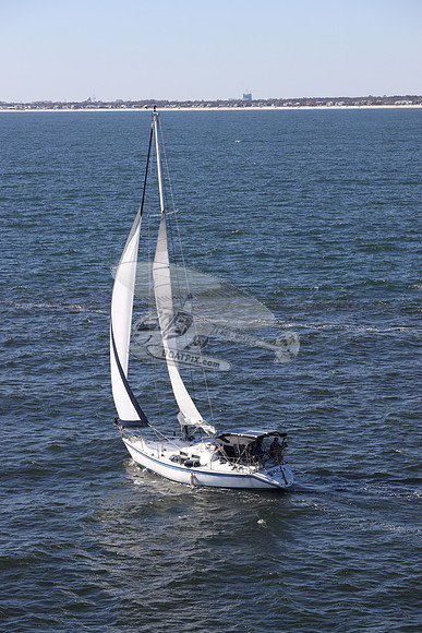 43572.DO975771.EAGLE.DAYTONA BCH FL.01