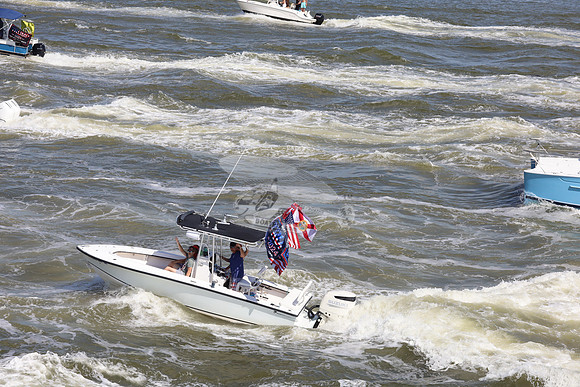 Dolphin Boats.3