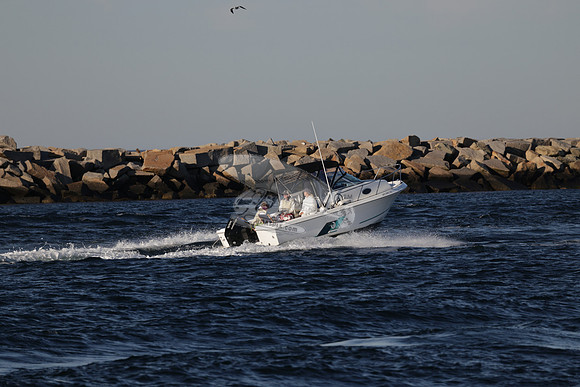 ms5942ze.5