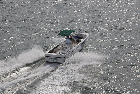 DL0010E.14