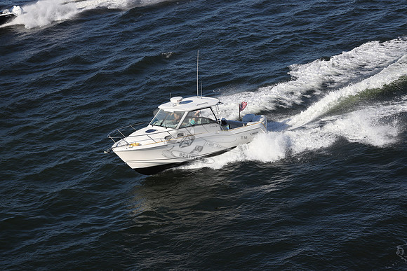 BOSTON WHALER31.4406