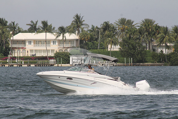 CROWNLINE.GRAY TOP.09
