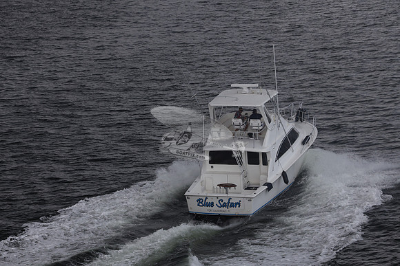 blue safari.laud.ocean.17