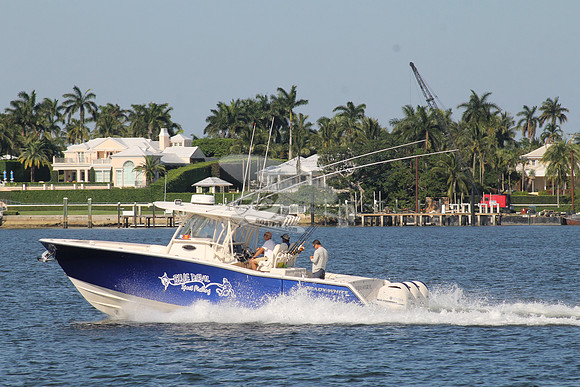 BLUE DEVIL.OCEAN RIDGE FL.GRADY WHITE.13