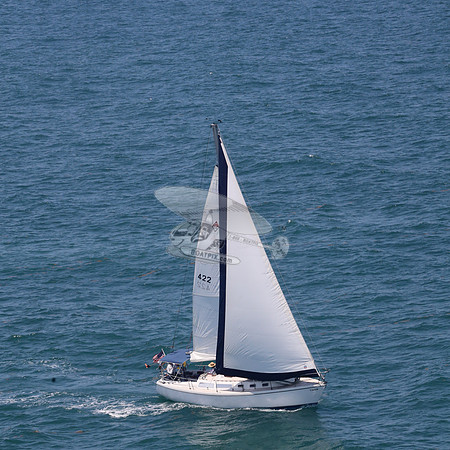 422.FL8313SN..SPIRIT OF THE WIND.33