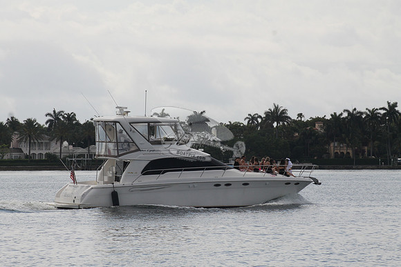 FL5355RR.DIAMOND D.4