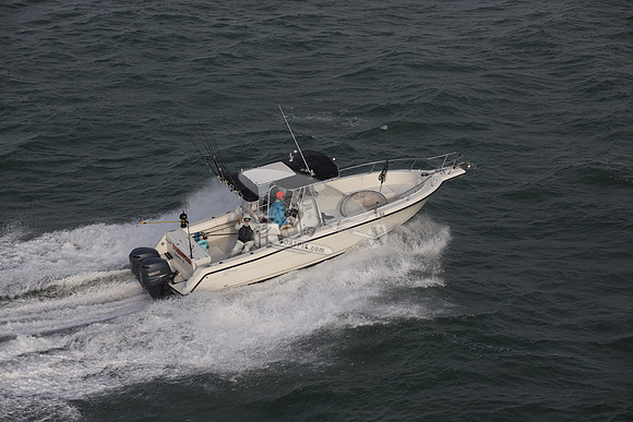 docknocking.gulfport fl.9933