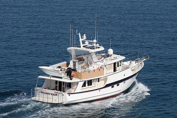 bulldog sally.wilm.02