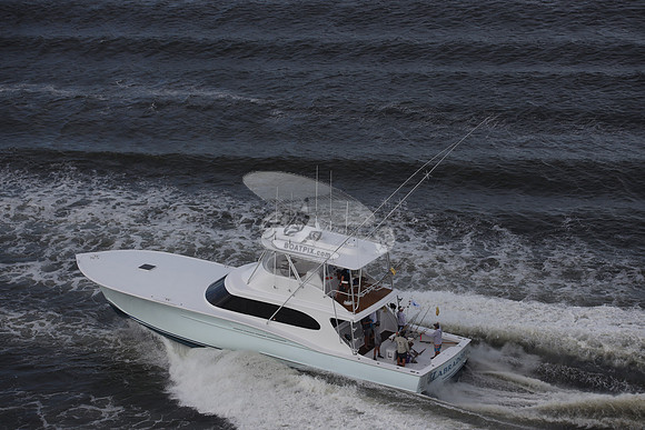 labrador.morehead city.3832